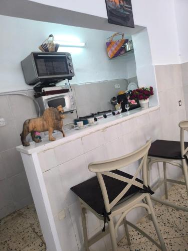 Bizerte Tunisia cozy studio in Bizerte