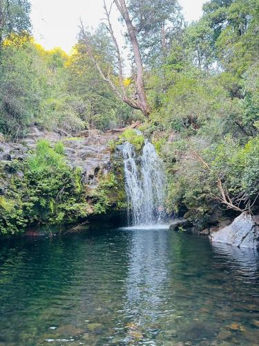 The Rustic in Molina