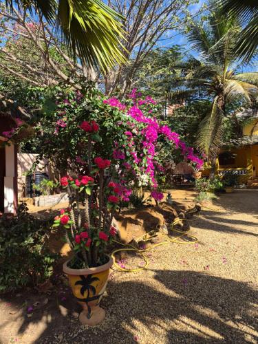 Vistas, keur MaÏ et Mao (keur MaI et Mao) in Ngaparou