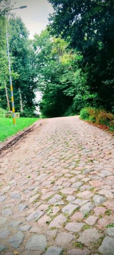 Nasy Holliday in Barczewo