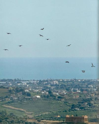 MiraValle Agrigento 2