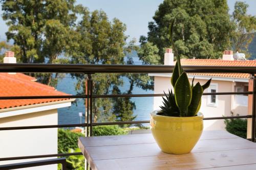 Deluxe Kefalonia Apartment Apartment Hyacinth 1 Bedroom Pool gîte à louer Kólpos Sámis