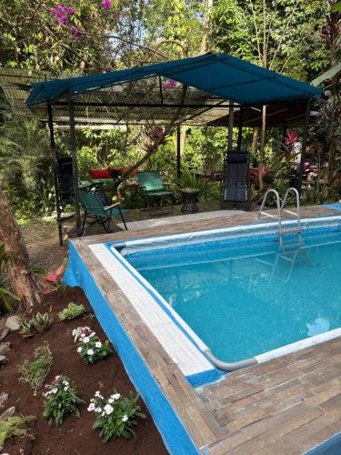 Papaya Wildlife Lodge in Puerto Limon