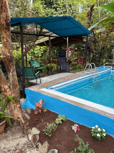 Papaya Wildlife Lodge in Puerto Limon