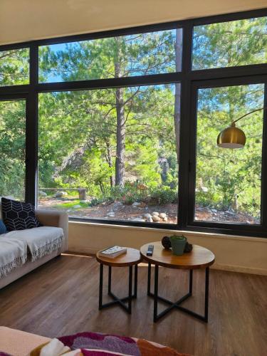 Nature & Relaxation Home in Los Queñes