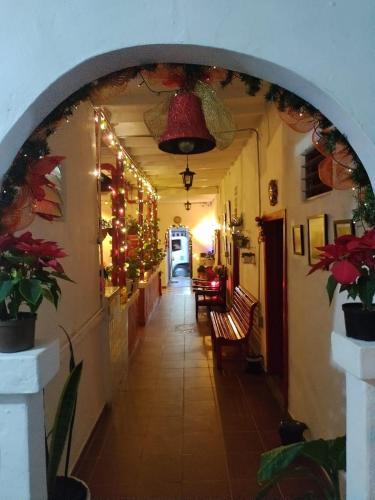 Hotel Casa de Oriente in Rivera
