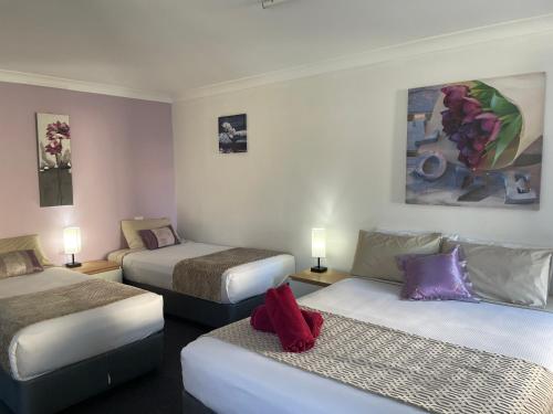Taree Lodge Motel - Taree