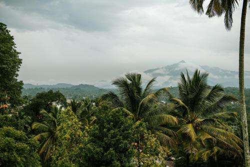 Sonora, Kandy (foto 10)