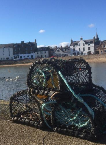 Arduthie House - image 14