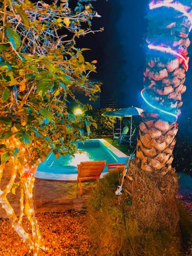 Hostal White beach in El Salado