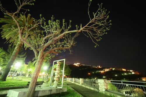 Summa Resort - image 9