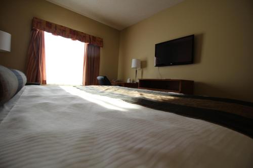 Quality Inn & Suites Room Type - King Room
