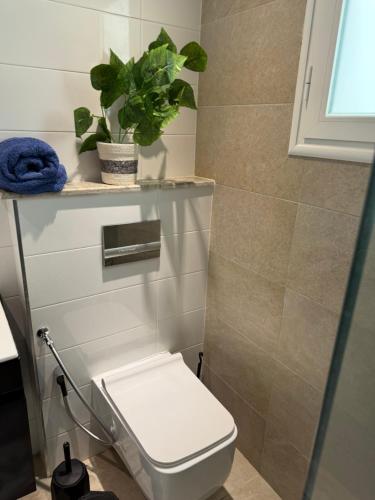 Logement confortable in Jardins De Carthage
