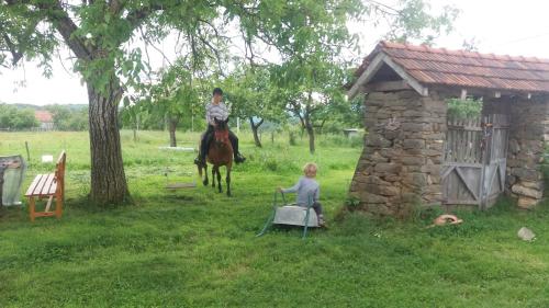 Guest House Glogovac