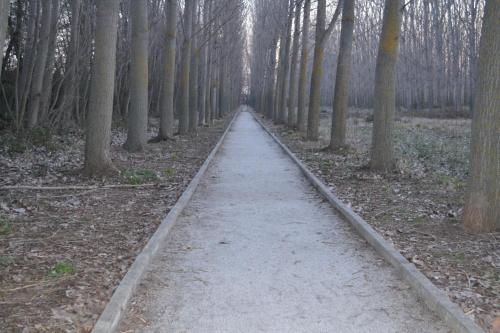 Casa Rural la Muralla gîte à louer Valdetorres de Jarama