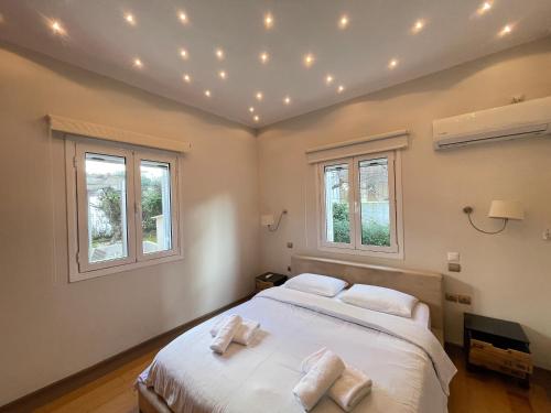 Aquarius - Glyfada detached house, Athens