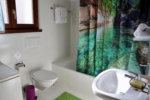 Casa Ylenia Rustic home surrounded by nature in Gerra Verzasca