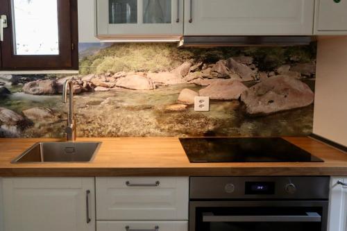 Casa Ylenia Rustic home surrounded by nature in Gerra Verzasca