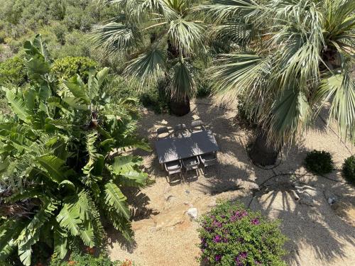 Garden, Casa Dali Spacious Hilltop Villa with Sea Views near Denia medium term stay in Monte Pego