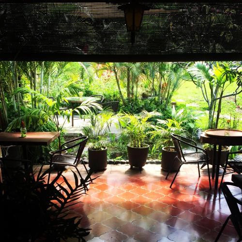 Θέα, Cinco Hotel B&B in San Salvador