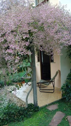 Eco Pousada Jardim do Eden – Alto Paraíso de Goiás, OK