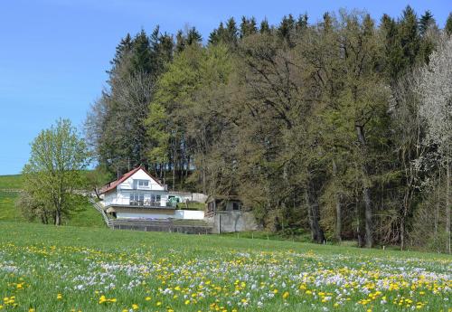 外部景觀, Haus Allgäublick bei Kronburg - Alleinstehend mit Sauna, Kamin und eingezäuntem Garten (Haus Allgaublick bei Kronburg - Alleinstehend mit Sauna, Kamin und eingezauntem Garten) in 勞查赫