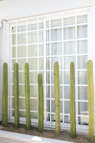 PINO · Loft in ground floor - 1 block to El Llano Park - image 5