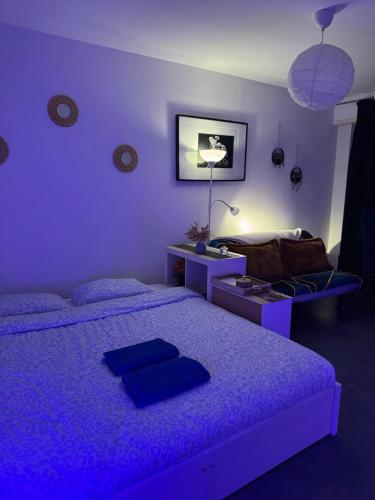 Studio lumineux proche centre Mulhouse