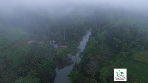 Surrounding environment, Sinharaja Cascade Villa in Siharaja