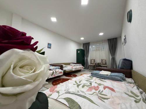 Unik Family Only Apartments in พริซเซ่น