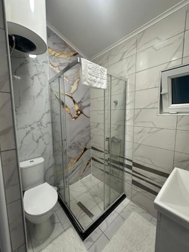 Studio Apartman Kostić (Studio Apartman Kostic) in Грачаница