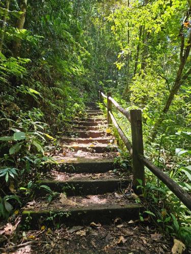 Casa confortável na Serra de Casimiro de Abreu, Pai João -14 km do Sana (Casa confortavel na Serra de Casimiro de Abreu, Pai Joao -14 km do Sana) in Casimiro de Abreu