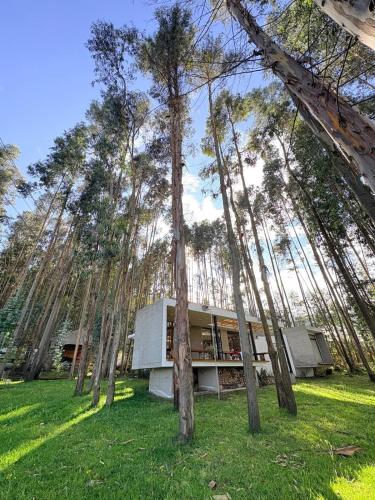 Eucalyptus Forest Villa - The Perfect Escape