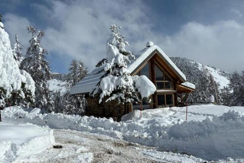 06DV Chalet Roubion in Roubion