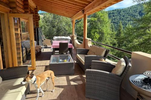 06DV Chalet Roubion in Roubion