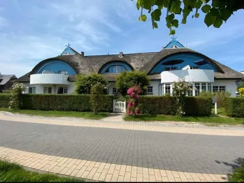 Strandvogel in Zingst, Deutschland