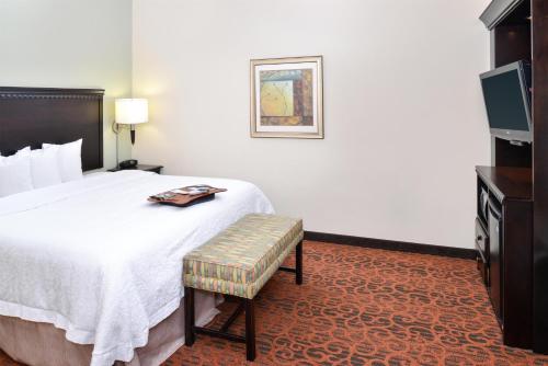 Hampton Inn Pecos - image 37