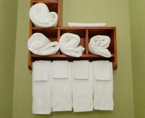 Hampton Inn Hickory - image 32