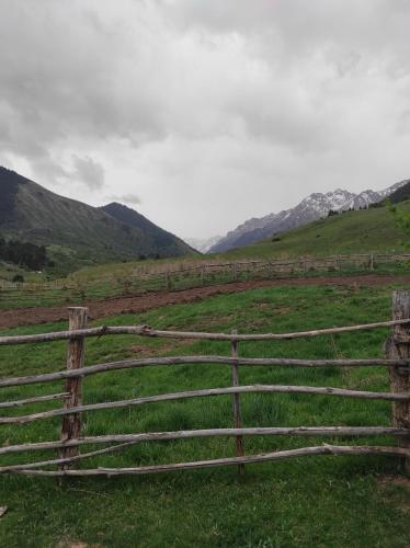 Bordu Yurt Camp in Kirpichny