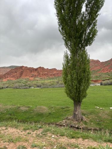 Bordu Yurt Camp in Kirpichny