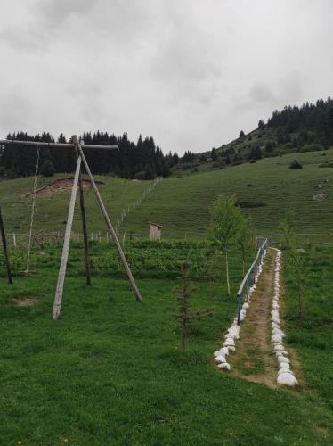 Bordu Yurt Camp in Kirpichny