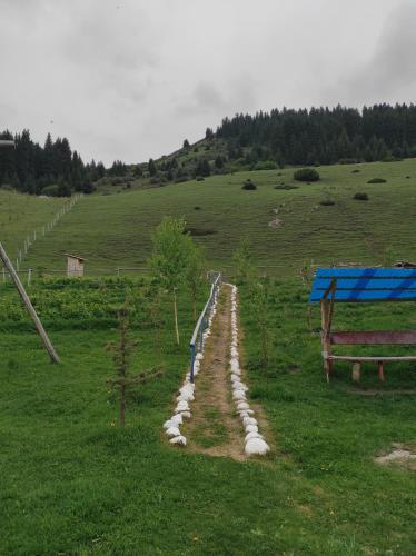 Bordu Yurt Camp in Kirpichny