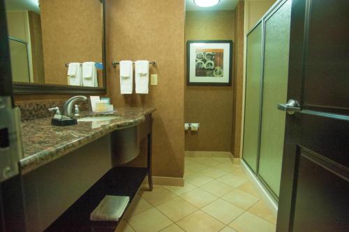 Hampton Inn & Suites Palestine - image 17