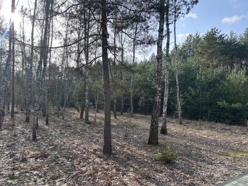 Dom pod Aniołem (Dom pod Aniolem) in Неборув