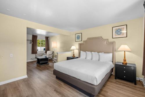 1 king bed
