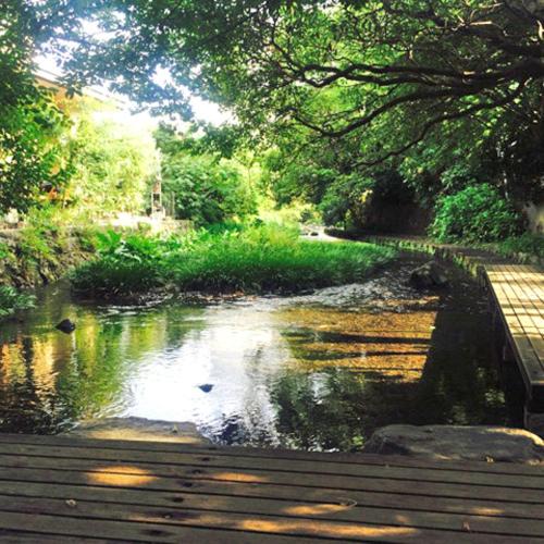 bagu cabanas del lenador iguazu calle san vicente esquina los inmigrantes a 100 metros de la ruta na