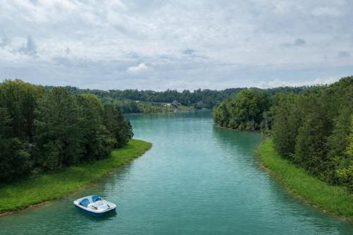 Little Lake Cove - image 5