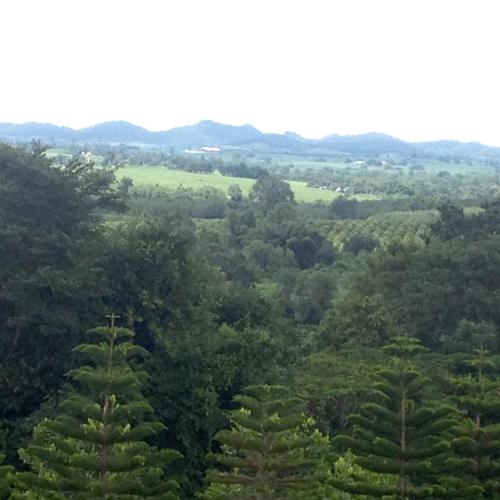 Khaoyai Nature Retreat