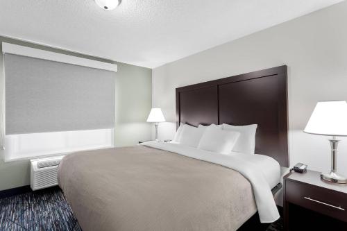 1 king bed