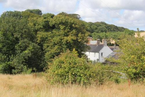 Costislost House - image 2